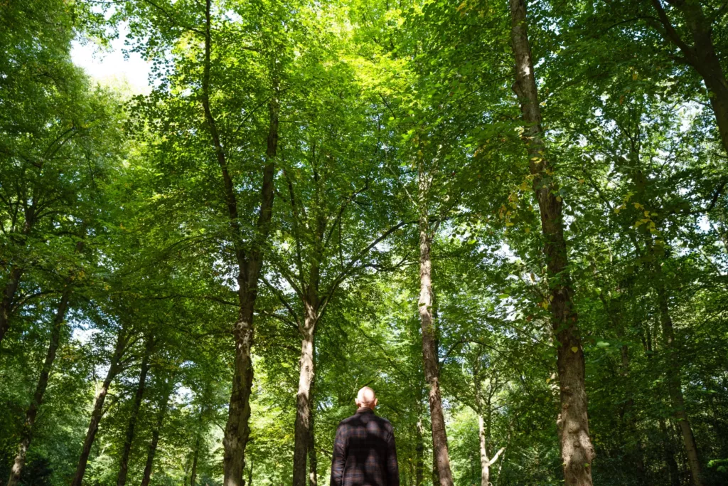 Persoon van achteren gezien in een bos met hoge bomen en groen licht.